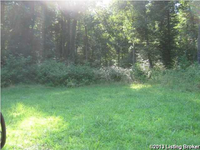 18558 Beaver Dam Road Caneyville, KY 42721 - Photo 9 of 29 Additional Photo