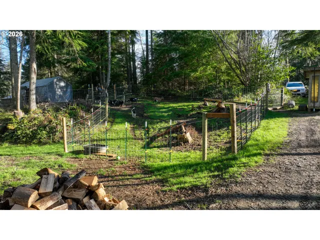 a black and white photo of a garden