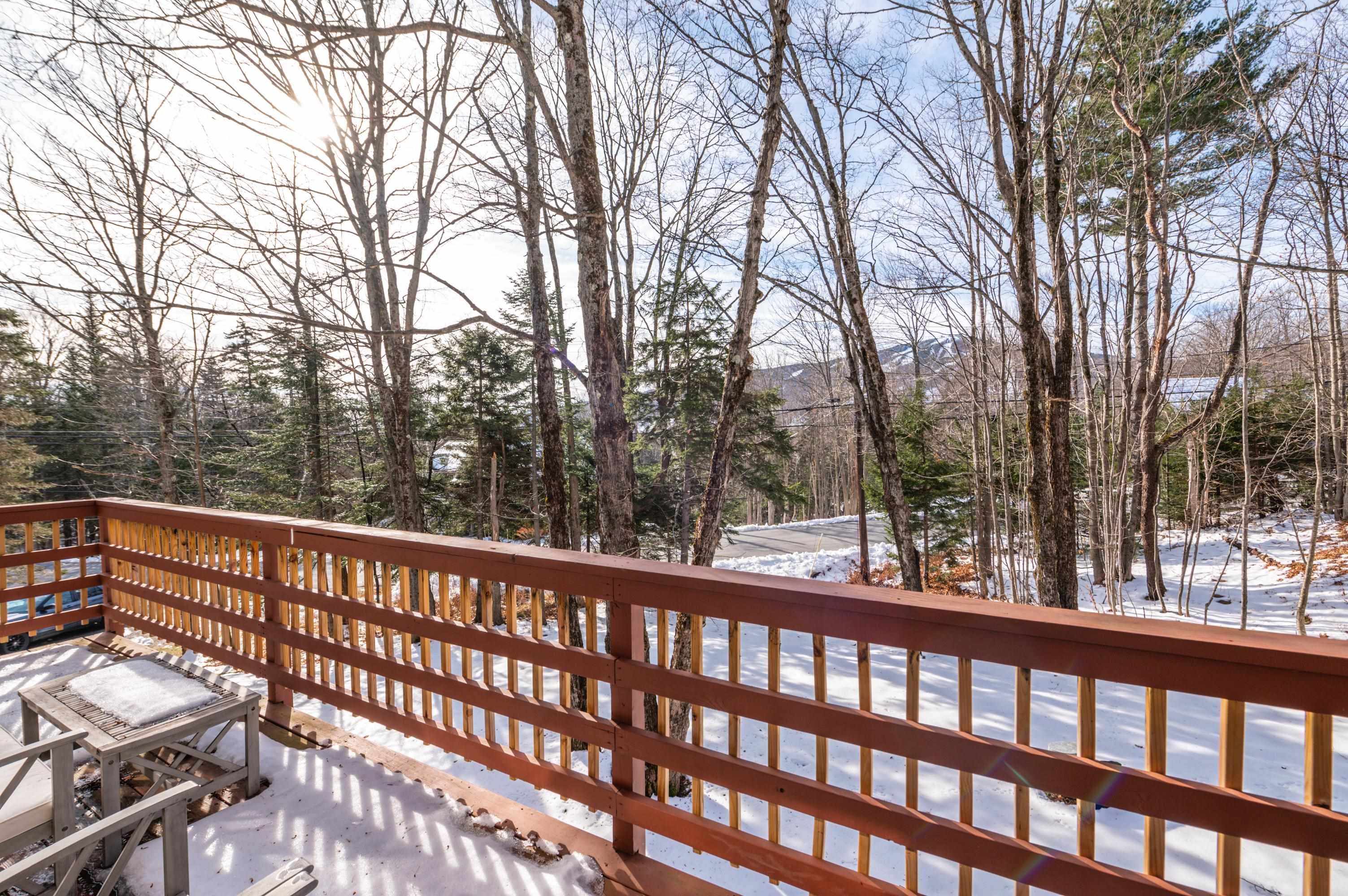 10 Lower Highlands Road West Dover, VT 05356 - Photo 21 of 35 Gallery Image 21