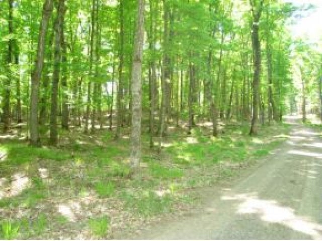 On Big Lake Road Watersmeet, MI 49969 - Photo 6 of 10 Gallery Image 6