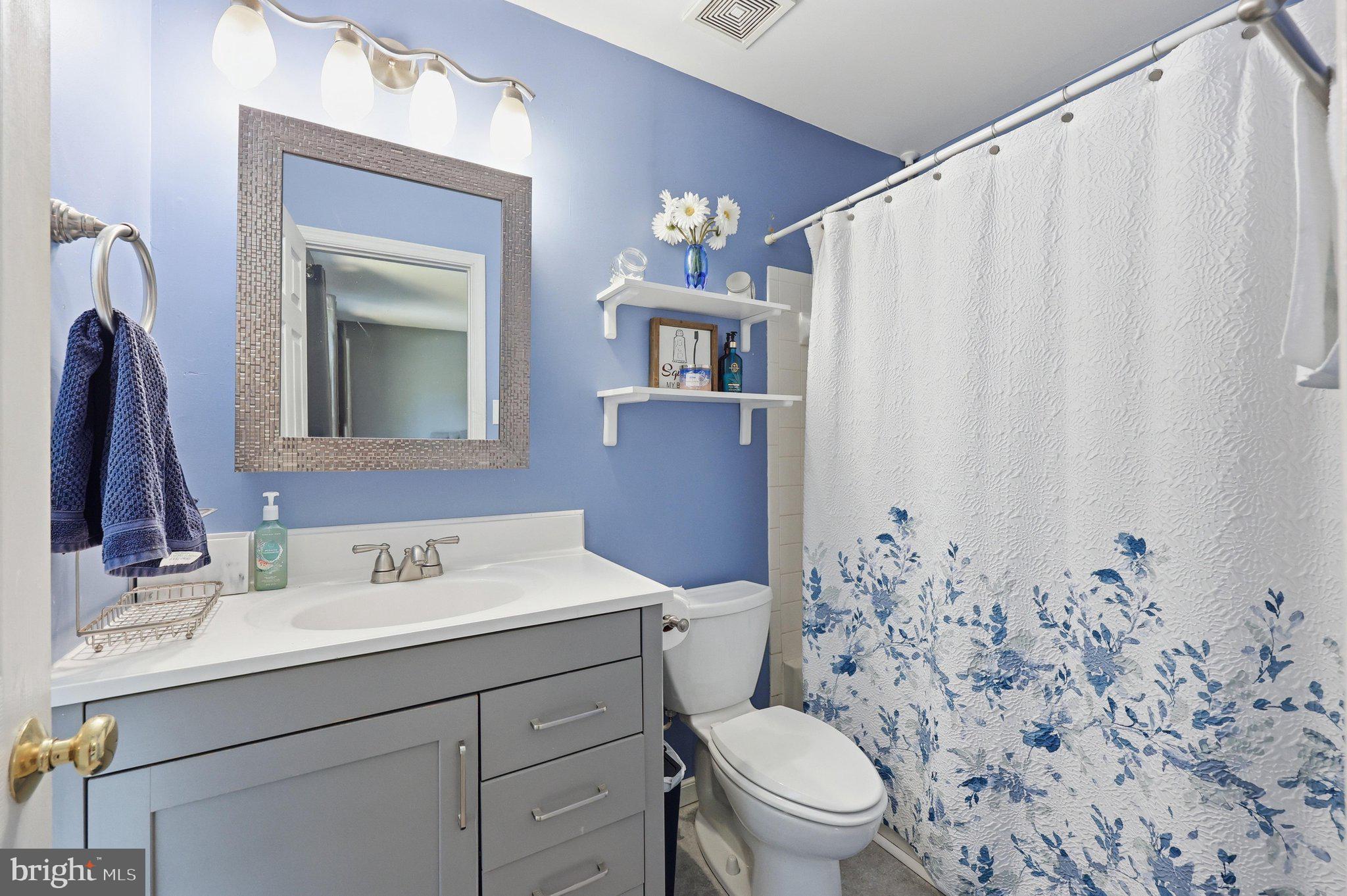 6154 Downs Ridge Court Elkridge, MD 21075 - Photo 58 of 58 primary bath