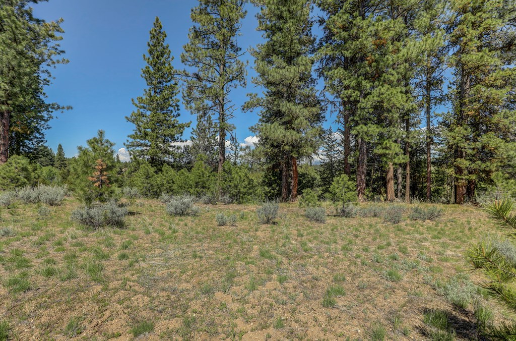 8 Targhee Court, Unit 33 McCall, ID 83638 - Photo 11 of 34