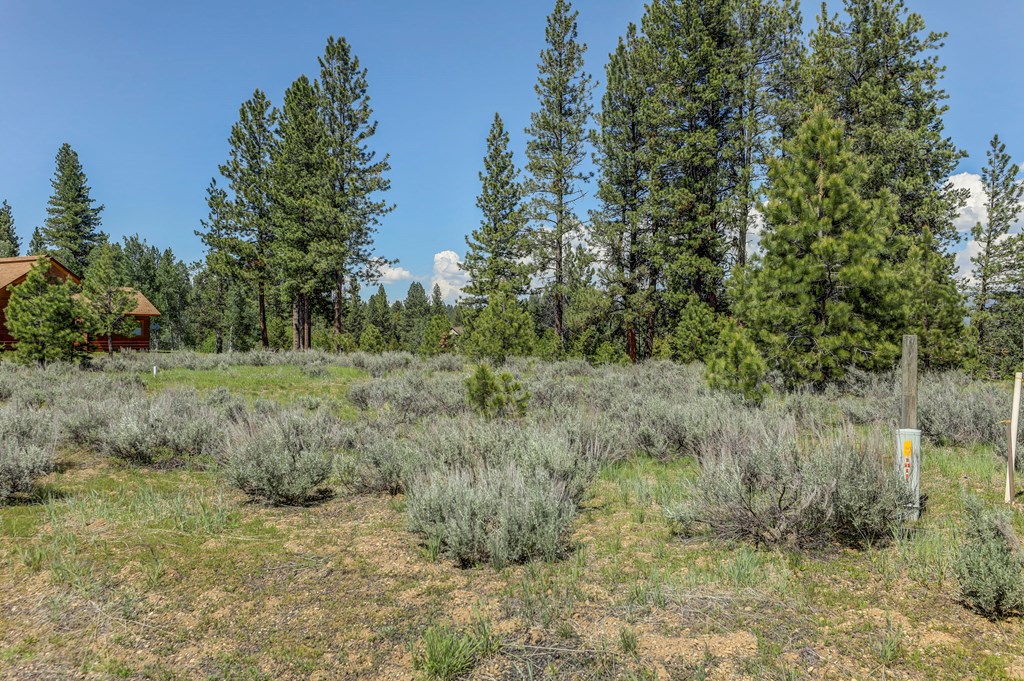 8 Targhee Court, Unit 33 McCall, ID 83638 - Photo 14 of 34