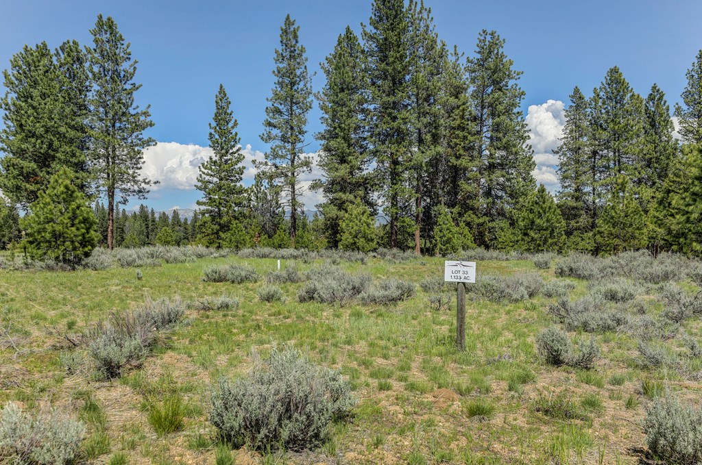 8 Targhee Court, Unit 33 McCall, ID 83638 - Photo 2 of 34