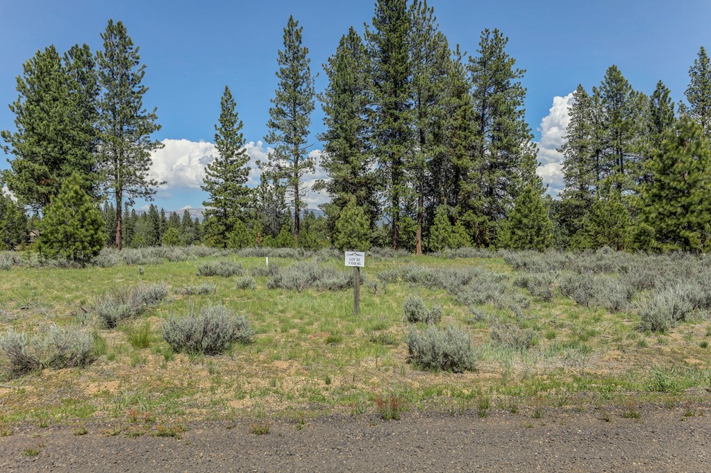 8 Targhee Court, Unit 33 McCall, ID 83638 - Photo 3 of 34