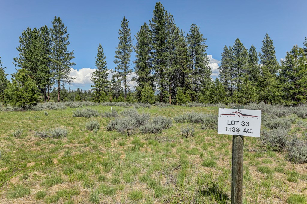 8 Targhee Court, Unit 33 McCall, ID 83638 - Photo 4 of 34