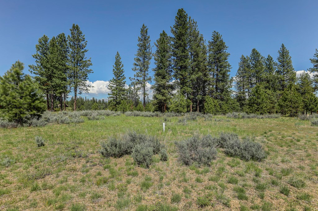 8 Targhee Court, Unit 33 McCall, ID 83638 - Photo 5 of 34