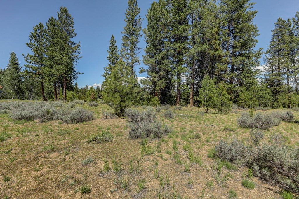 8 Targhee Court, Unit 33 McCall, ID 83638 - Photo 6 of 34