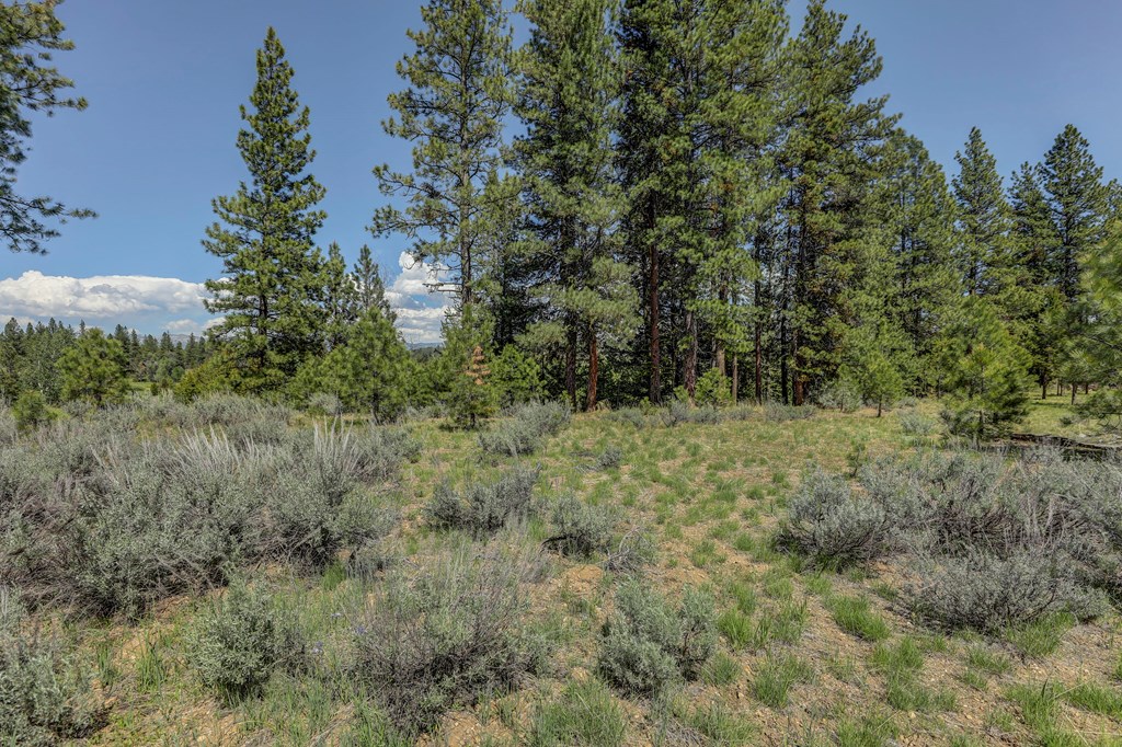 8 Targhee Court, Unit 33 McCall, ID 83638 - Photo 7 of 34