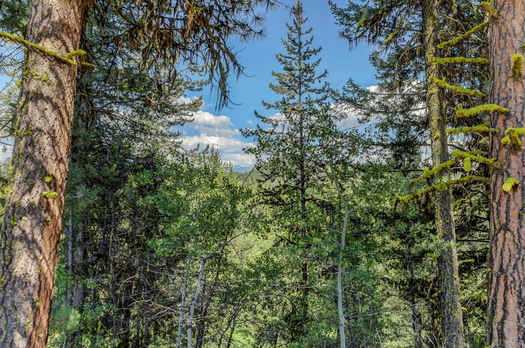 8 Targhee Court, Unit 33 McCall, ID 83638 - Photo 8 of 34