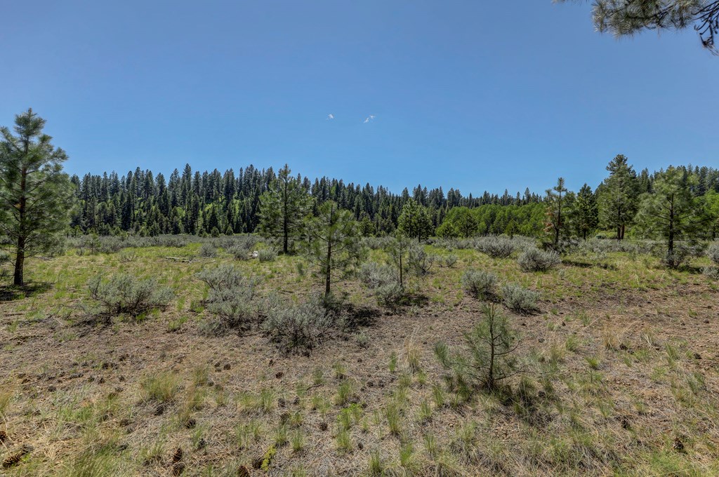 8 Targhee Court, Unit 33 McCall, ID 83638 - Photo 9 of 34
