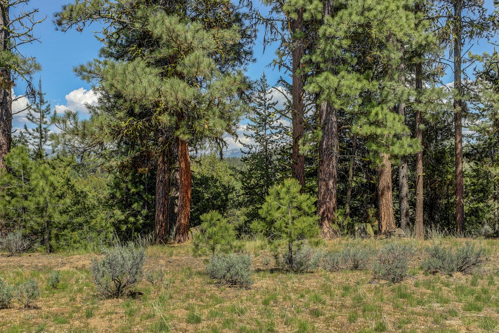 8 Targhee Court, Unit 33 McCall, ID 83638 - Photo 10 of 34