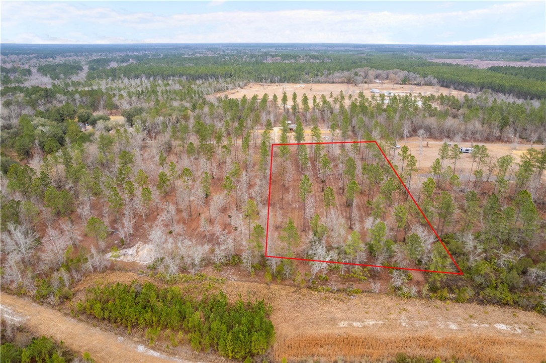 2 Loggan Lane Jesup, GA 31546 - Photo 6 of 10