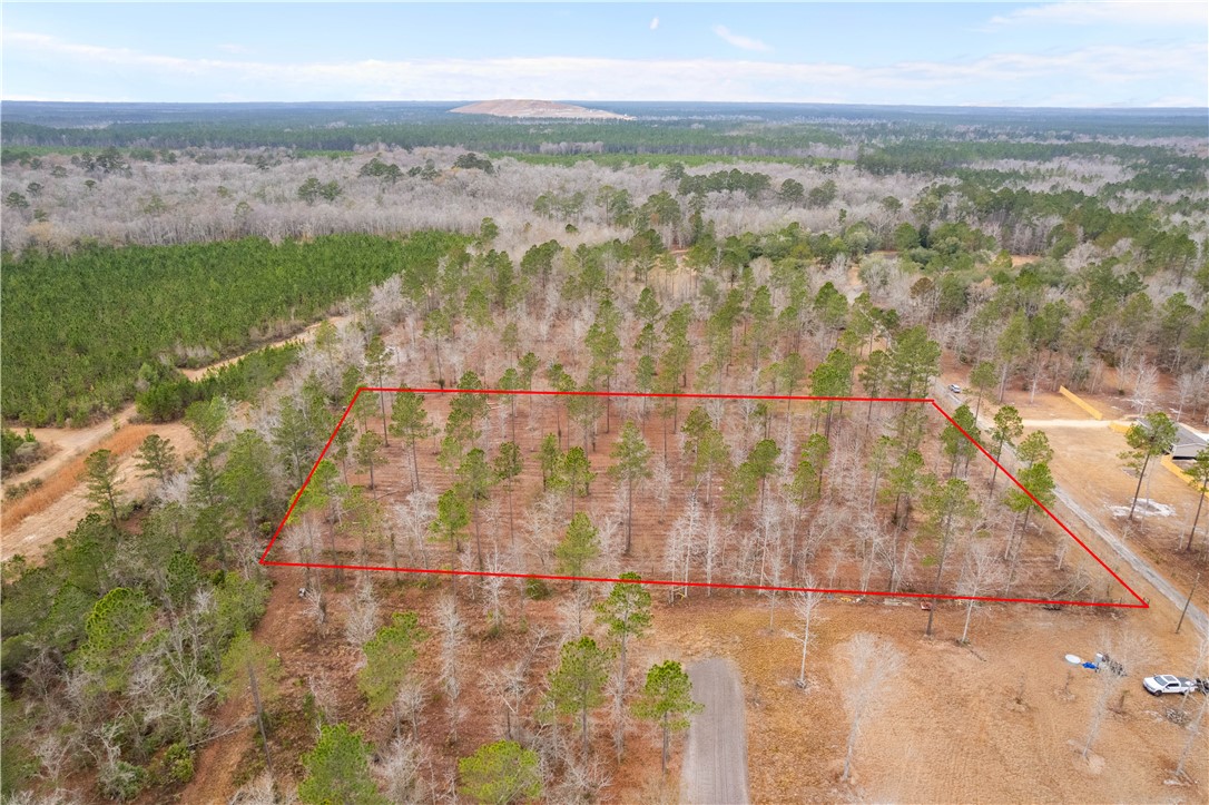 2 Loggan Lane Jesup, GA 31546 - Photo 9 of 10