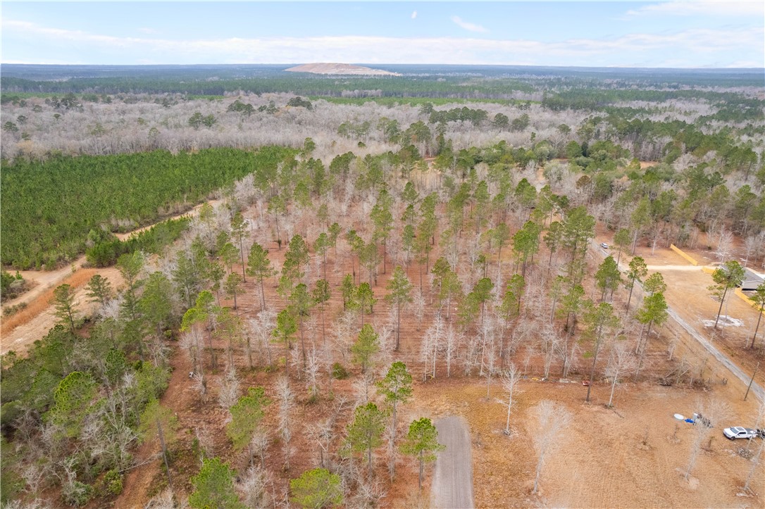 2 Loggan Lane Jesup, GA 31546 - Photo 10 of 10