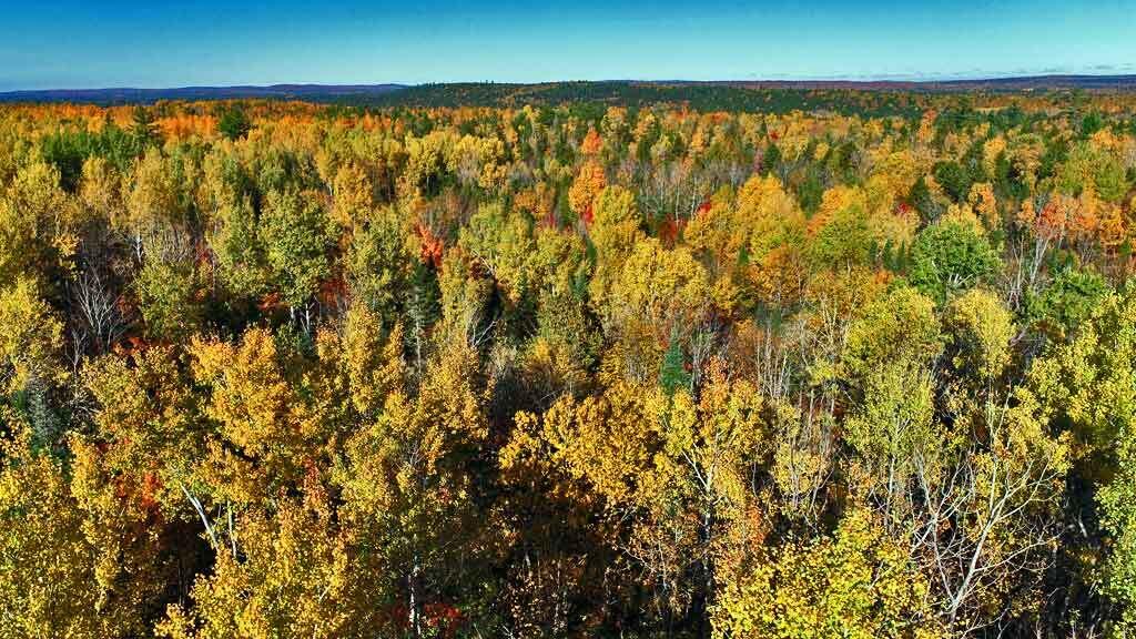 2053 Forest City Road Brookton, ME 04413 - Photo 50 of 63 woodlot-maine-home