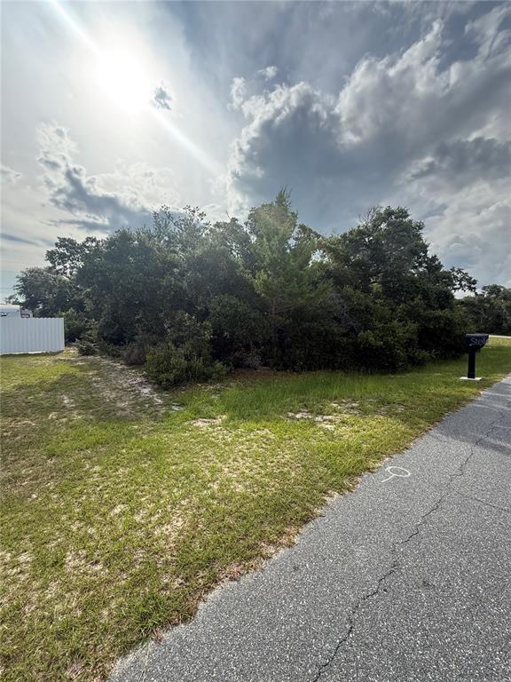 Tbd Southwest 161st Loop Ocala, FL 34473 - Photo 2 of 3