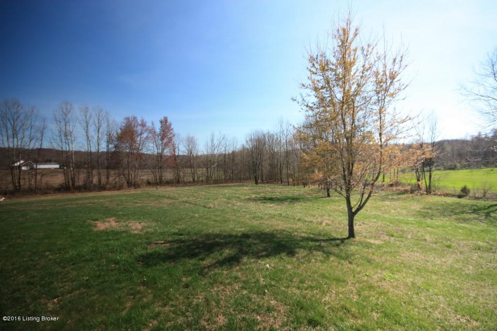 17201 Beaver Dam Road Caneyville, KY 42721 - Photo 4 of 30 3 1 SPARKS AUCTION
