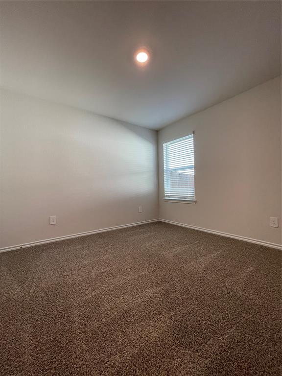 744 Sweet Pea Drive Pilot Point, TX 76258 - Photo 27 of 32