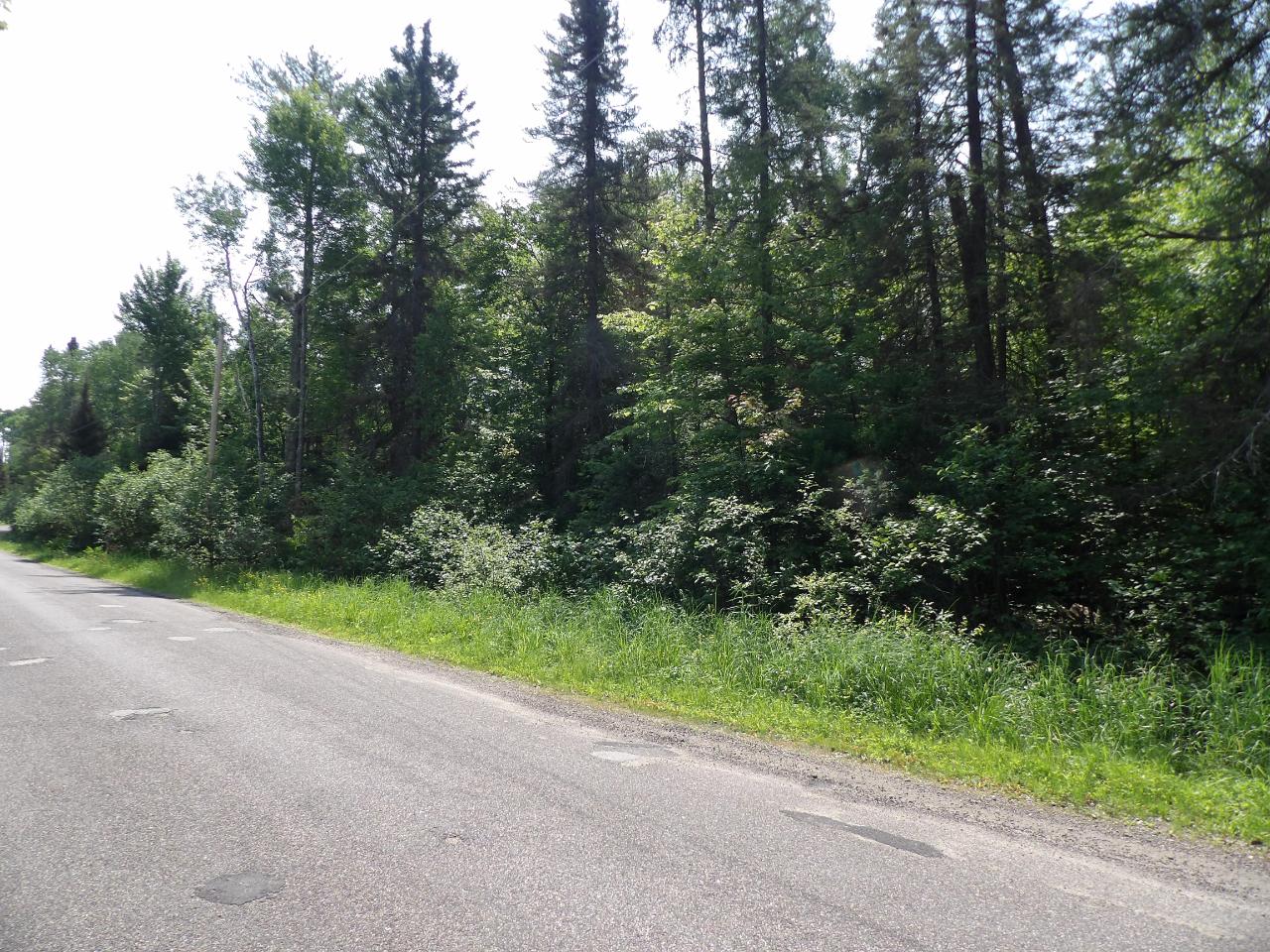 3.93-a Hay Meadow Road Rhinelander, WI 54501 - Photo 4 of 21 Gallery Image 4
