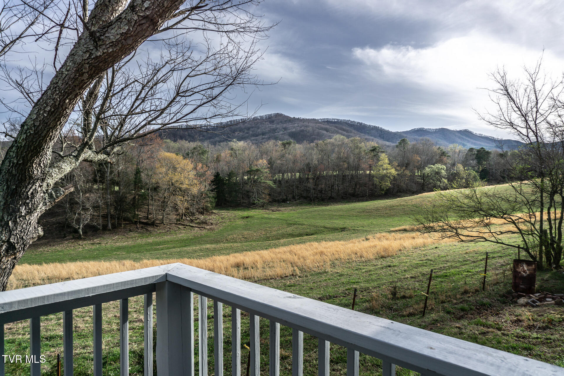 645 Garrett Hill Road Greeneville, TN 37743 - Photo 40 of 78 645GarrettHillG_049