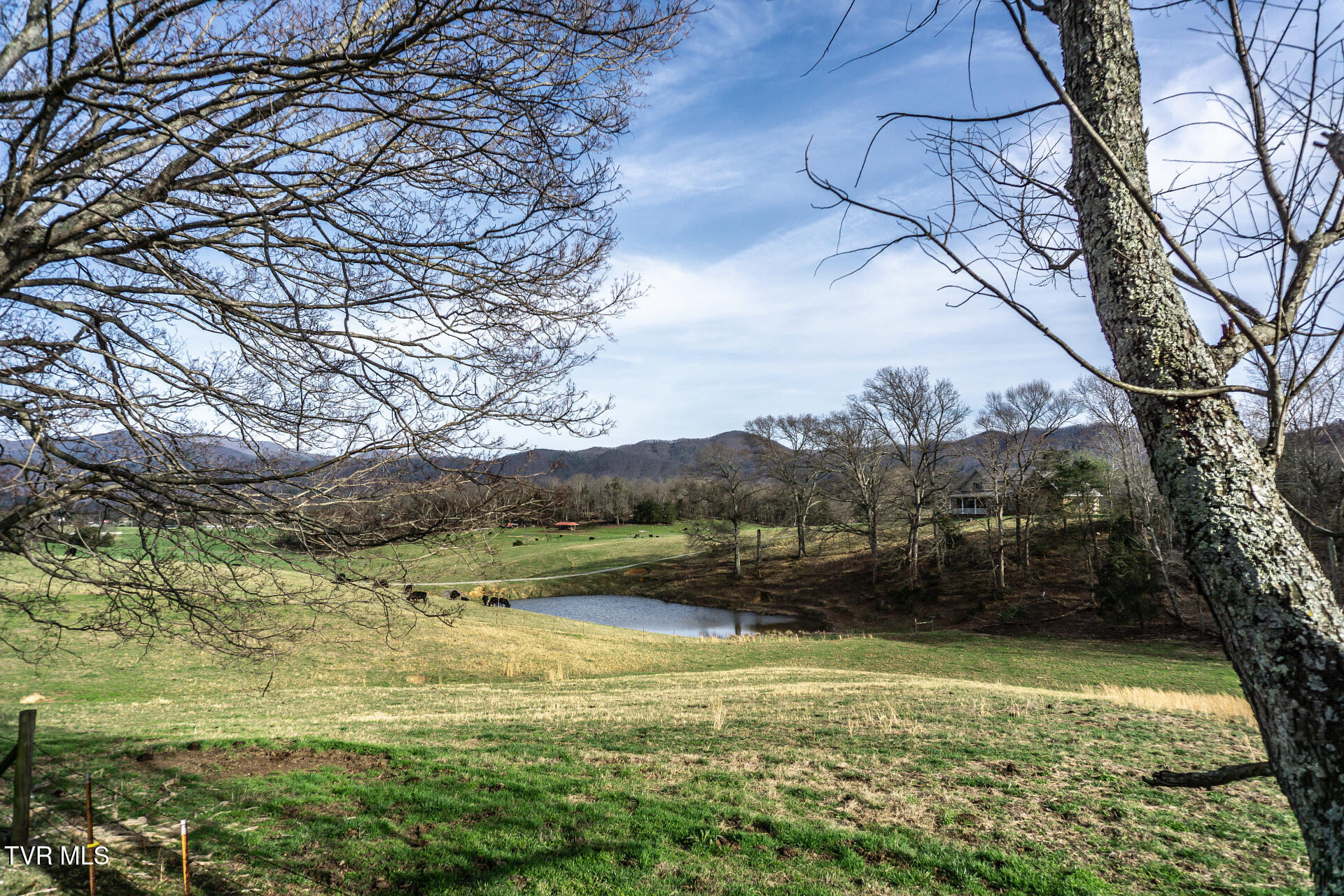 645 Garrett Hill Road Greeneville, TN 37743 - Photo 41 of 78 645GarrettHillG_050