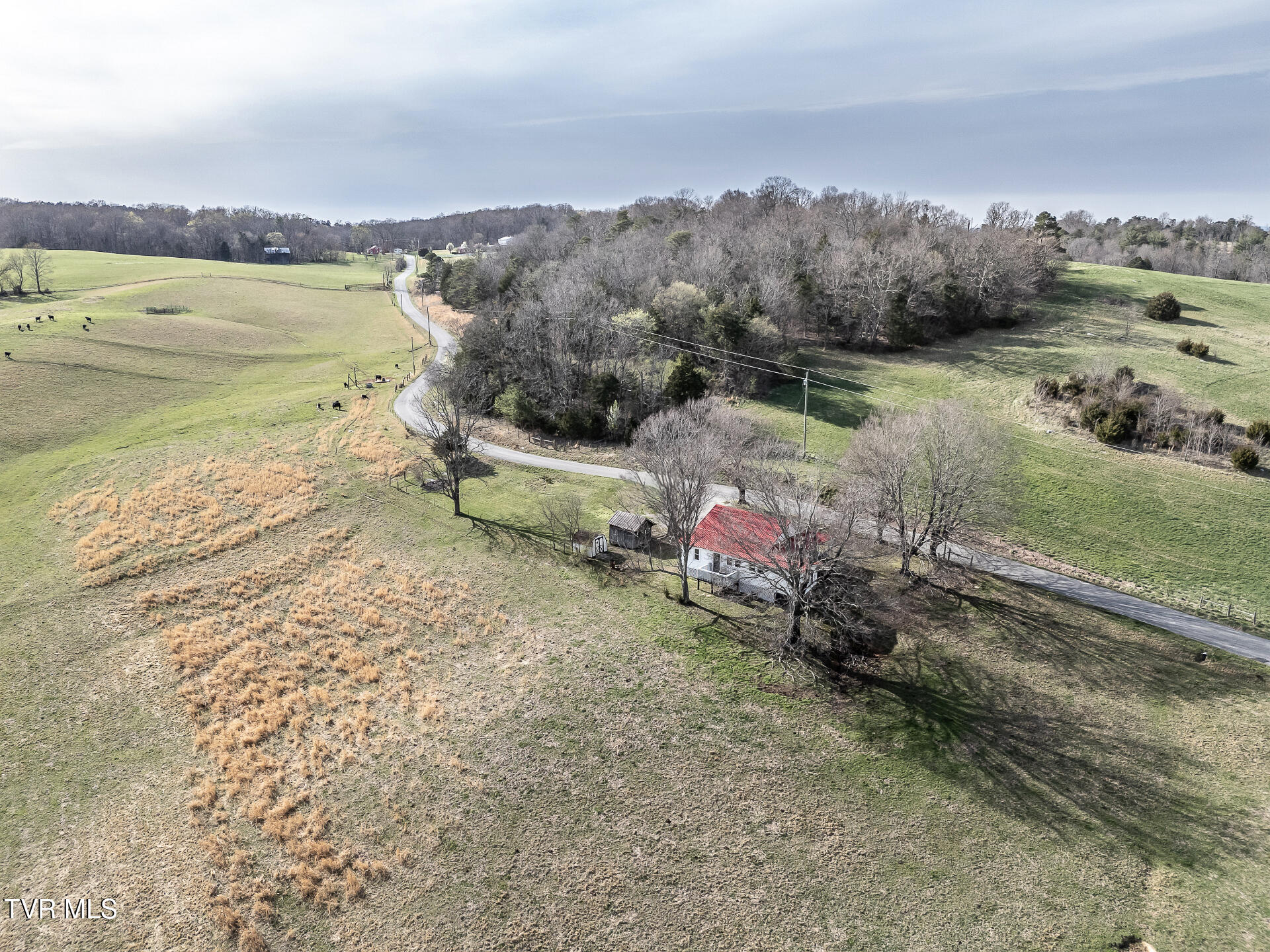 645 Garrett Hill Road Greeneville, TN 37743 - Photo 64 of 78 DSC06833_b (4 of 8)