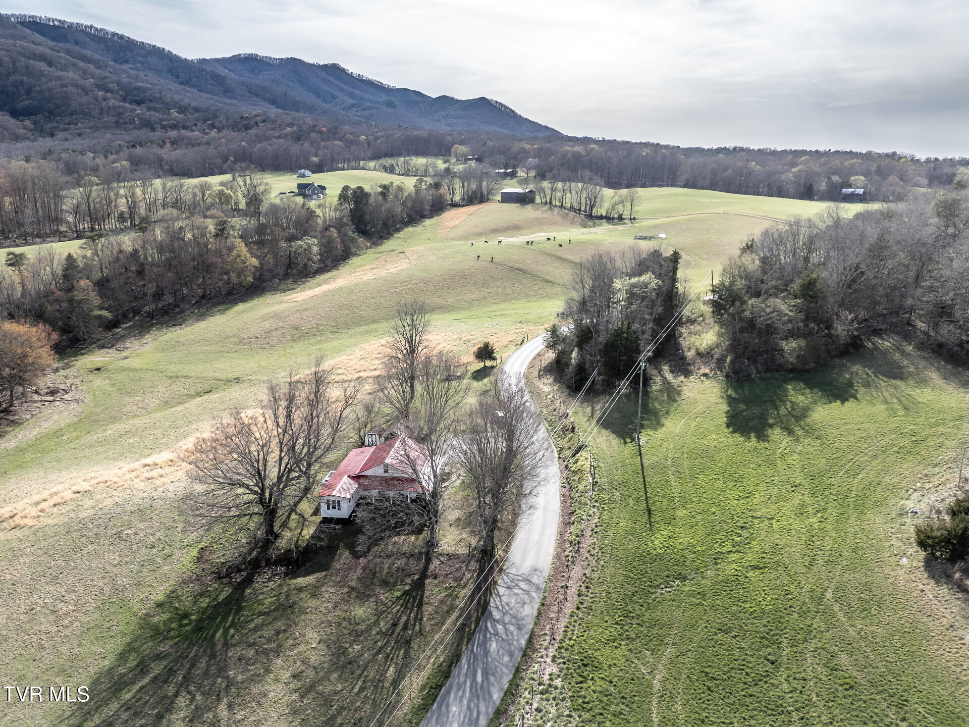 645 Garrett Hill Road Greeneville, TN 37743 - Photo 72 of 78 645GarrettHillG_119