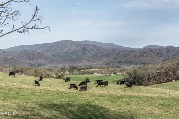 $319,000 | 645 Garrett Hill Road, Greeneville, TN 37743