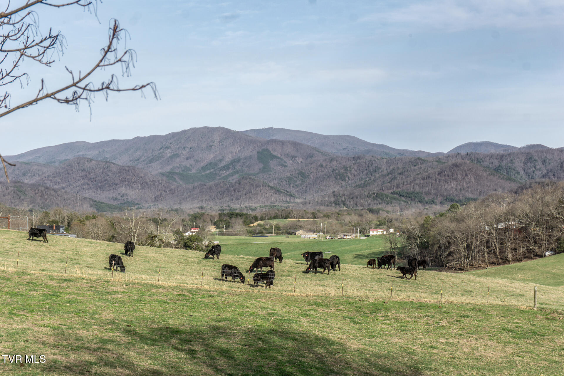 645 Garrett Hill Road Greeneville, TN 37743 - Photo 75 of 78 645GarrettHillG_096