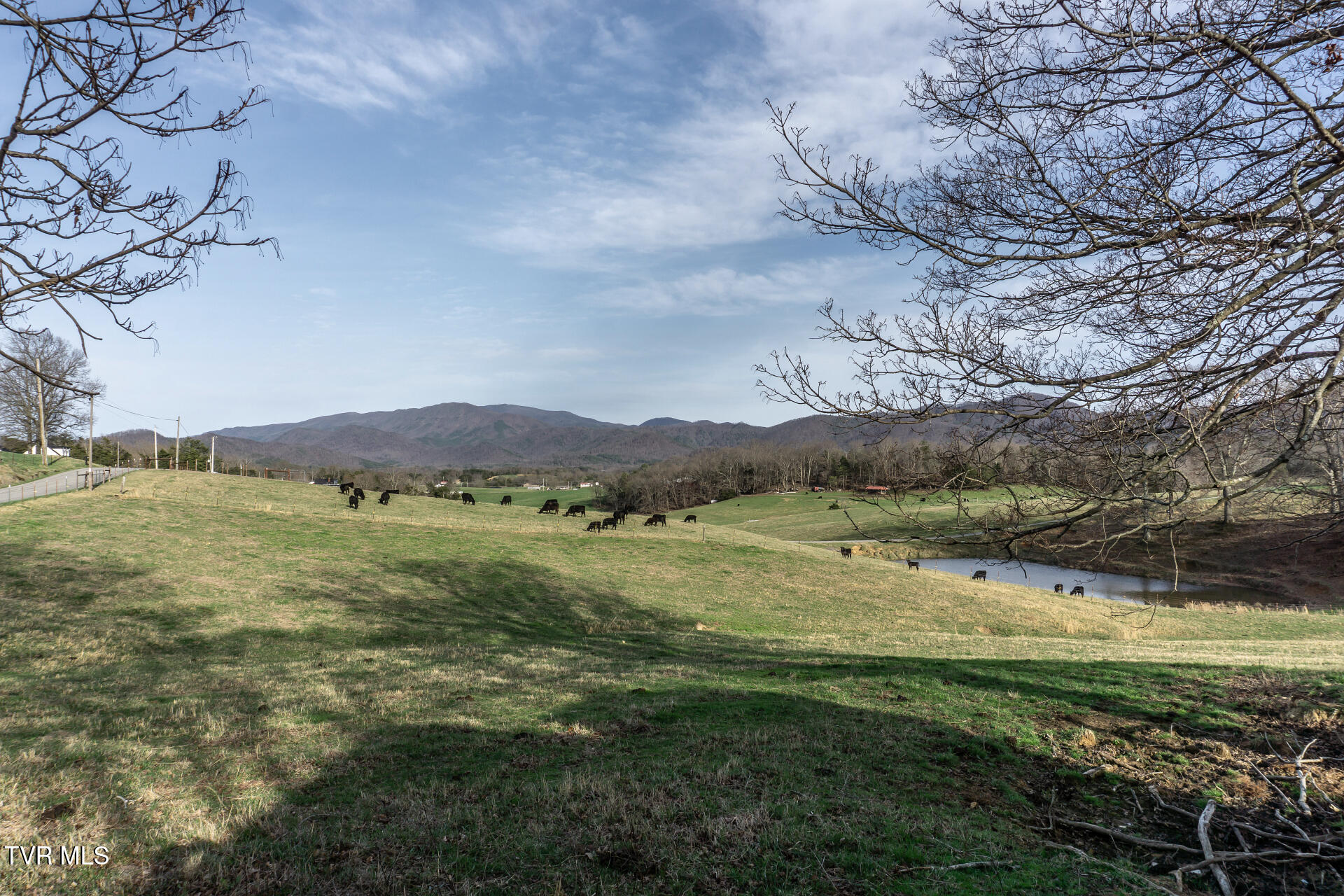 645 Garrett Hill Road Greeneville, TN 37743 - Photo 77 of 78 645GarrettHillG_092