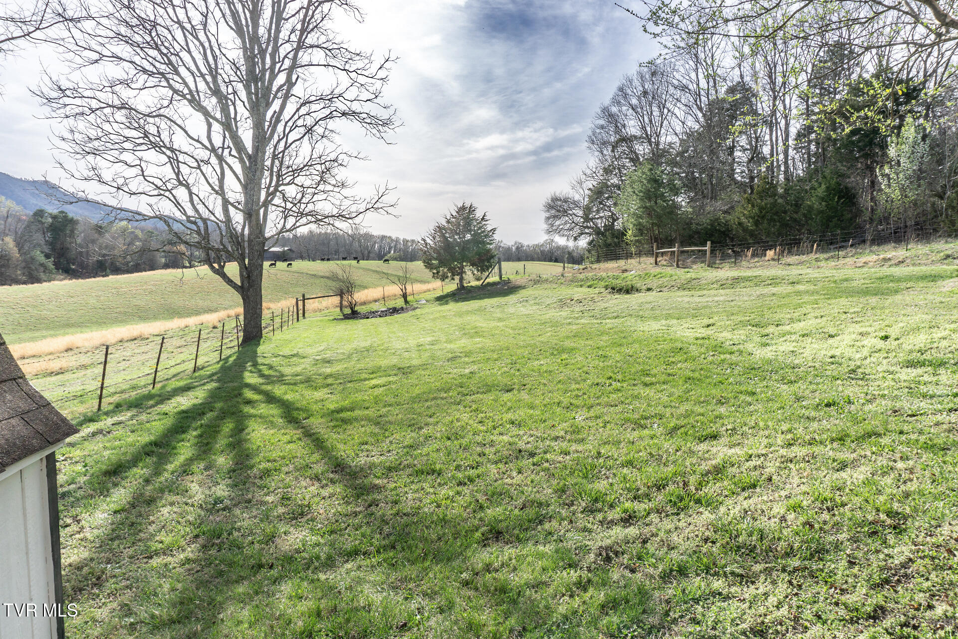 645 Garrett Hill Road Greeneville, TN 37743 - Photo 78 of 78 645GarrettHillG_014