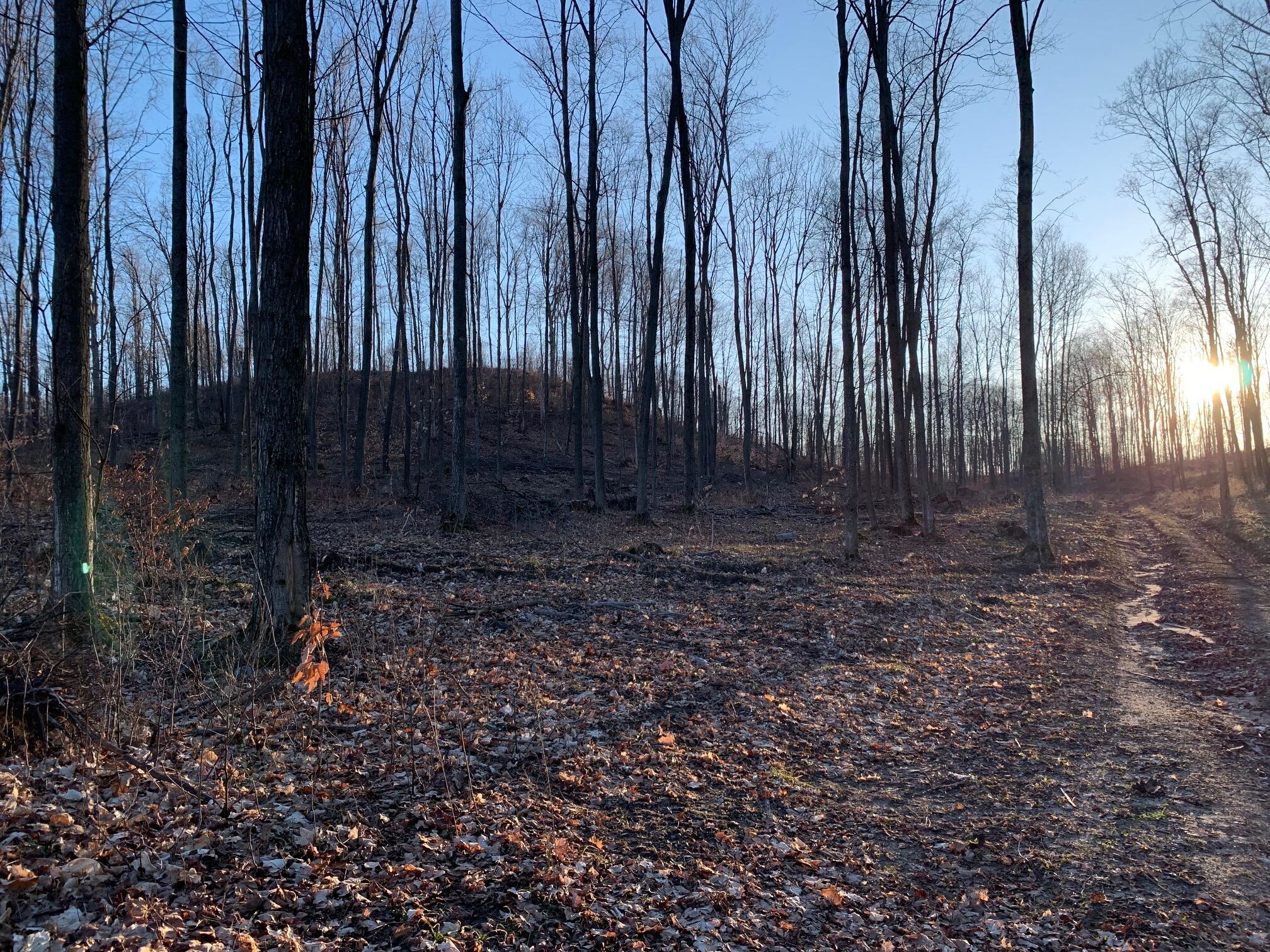 Chief ''o'' Road Bear Lake, MI 49614 - Photo 3 of 13 IMG_6199 (002)