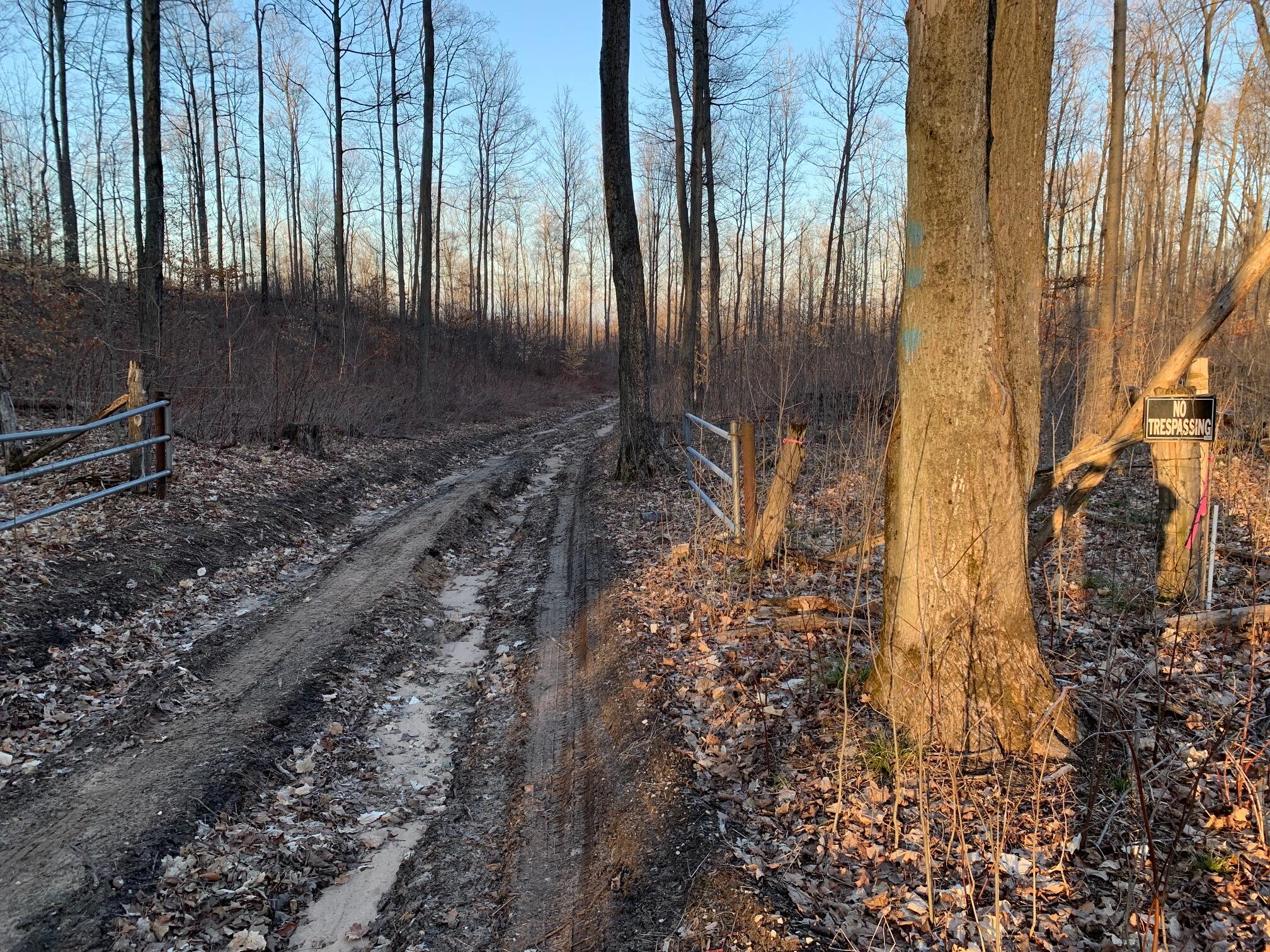 Chief ''o'' Road Bear Lake, MI 49614 - Photo 4 of 13 IMG_6200 (002)