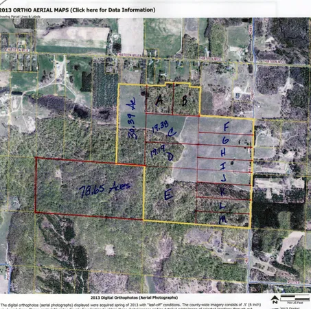 $332,000 | Chief ''o'' Road, Bear Lake, MI 49614