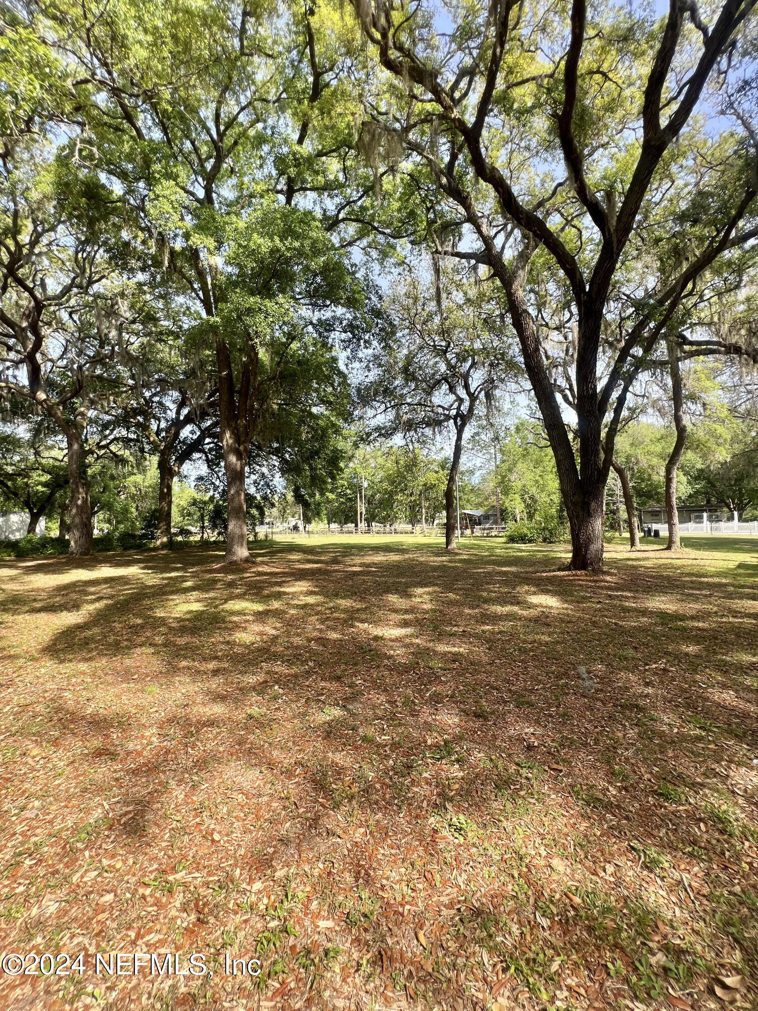 721 Varney Road Green Cove Springs, FL 32043 - Photo 3 of 13 721 Varney rd.jpg721 4Varney rd.jpgIMG_4