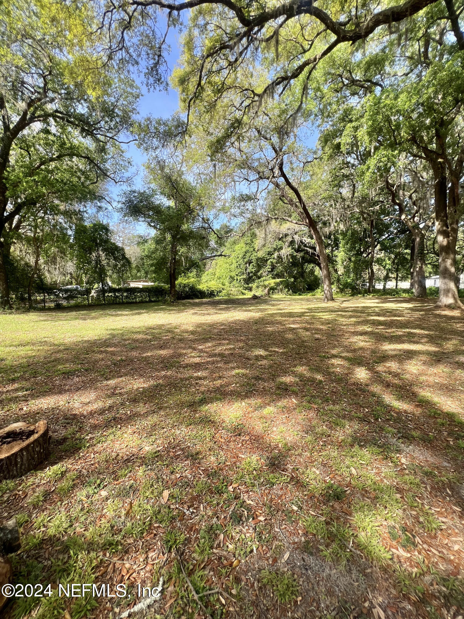 721 Varney Road Green Cove Springs, FL 32043 - Photo 10 of 13 721 Varney rd.jpg721 Varneyy rd.jpgIMG_4