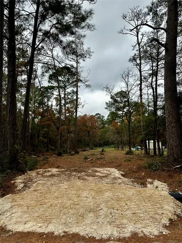 a view of dirt yard with trees