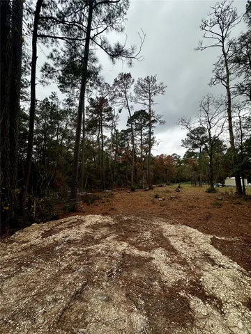 a view of outdoor space with trees