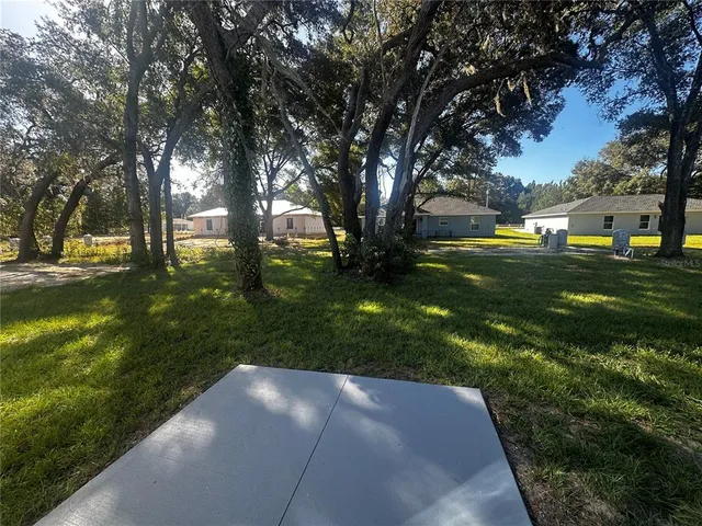 a view of a yard with plants and trees