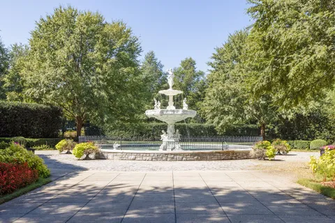 a view of a yard with large trees