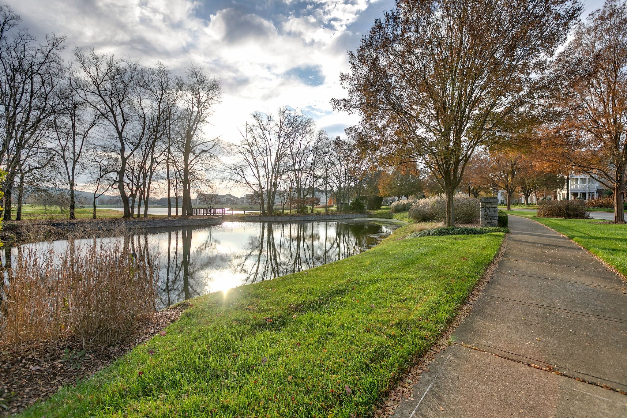 300 Addison Avenue Franklin, TN 37064 - Photo 30 of 35 a view of a yard with large trees