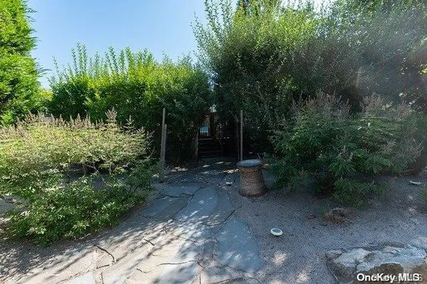 a view of a backyard with plants and trees