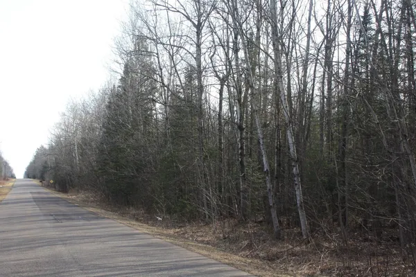 $60,000 | 50-xx South Maple Drive, Poplar, WI 54864
