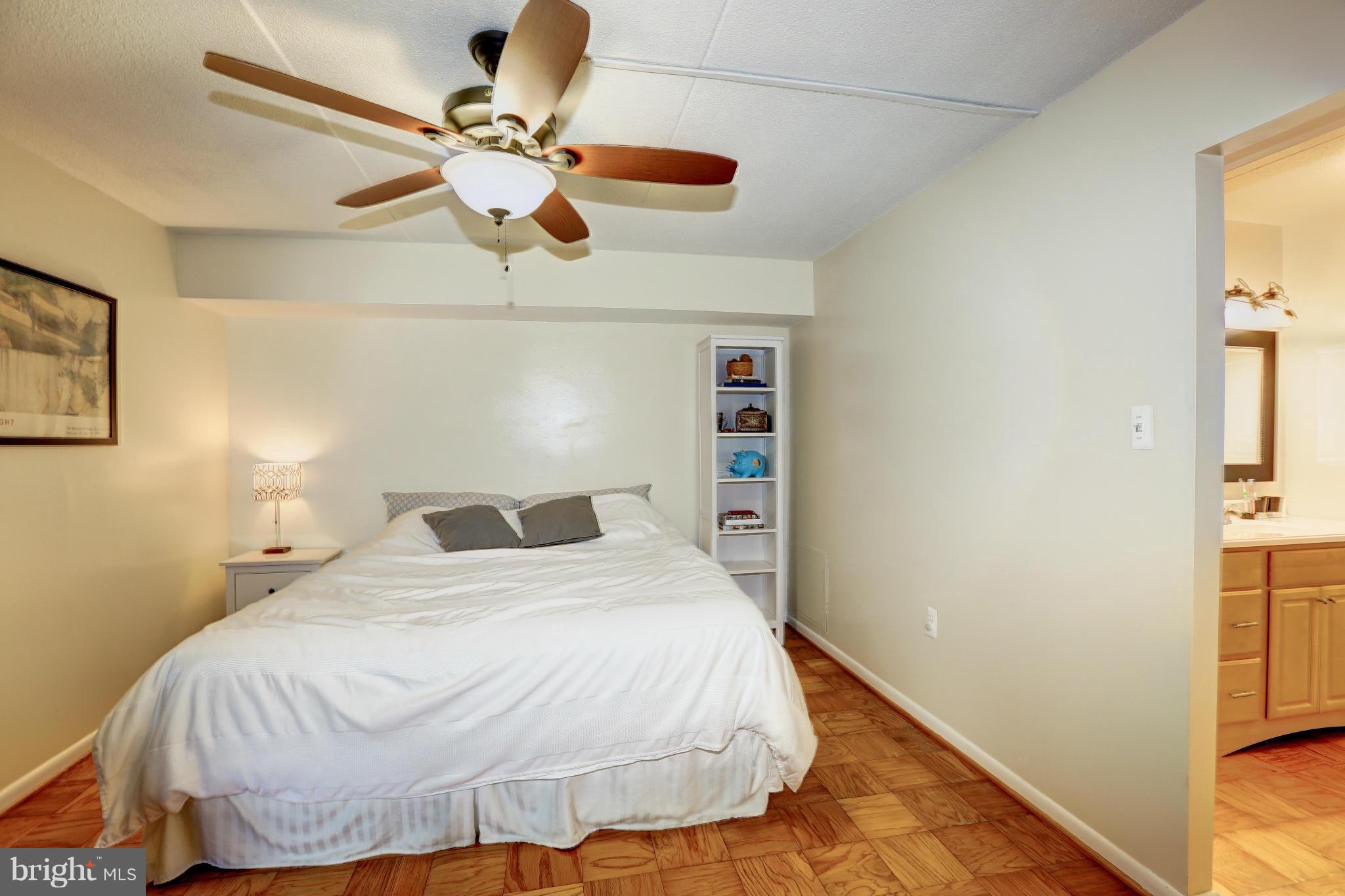 5236 West Running Brook Road, Unit 102 Columbia, MD 21044 - Photo 17 of 29 Master Bedroom