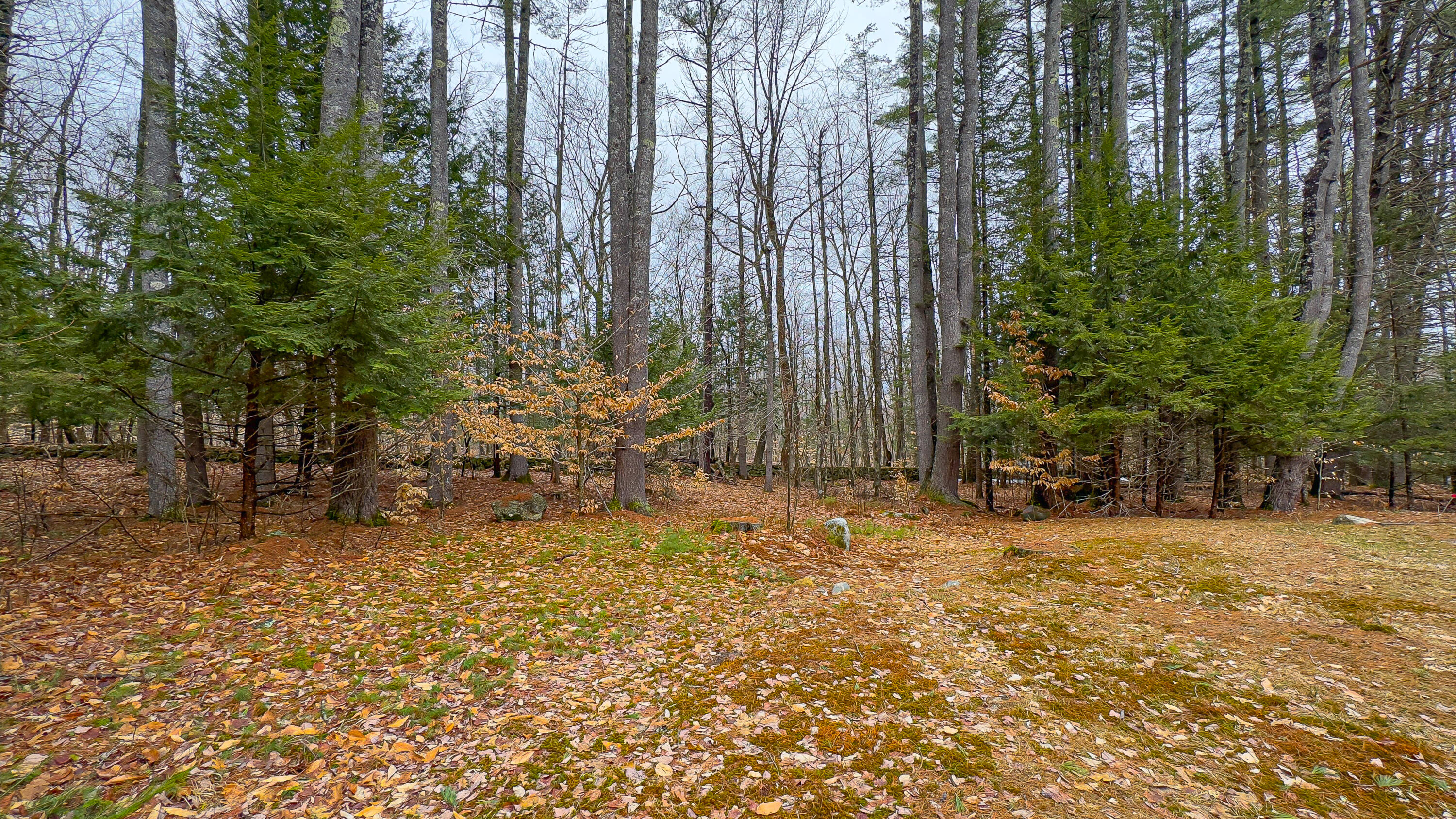12 Bramble Road Bridgton, ME 04009 - Photo 10 of 52 12 bramble road-17
