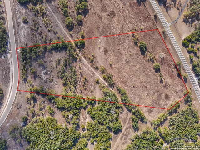 a view of a yard with plants and flowers