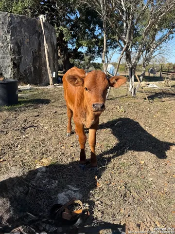 a picture of a bathroom