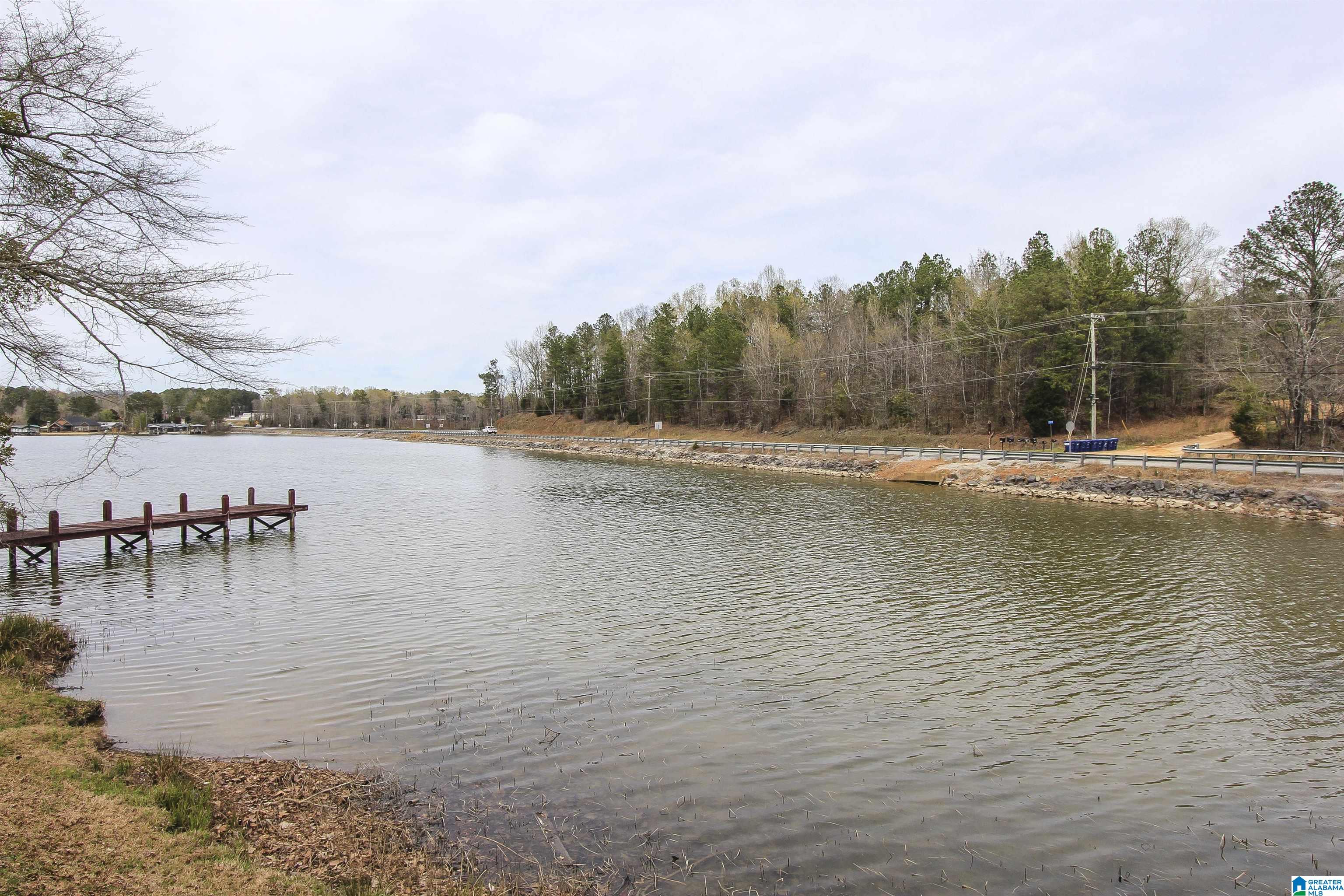 15 Mohawk Trail, Unit 4 AC Ohatchee, AL 36271 - Photo 3 of 28