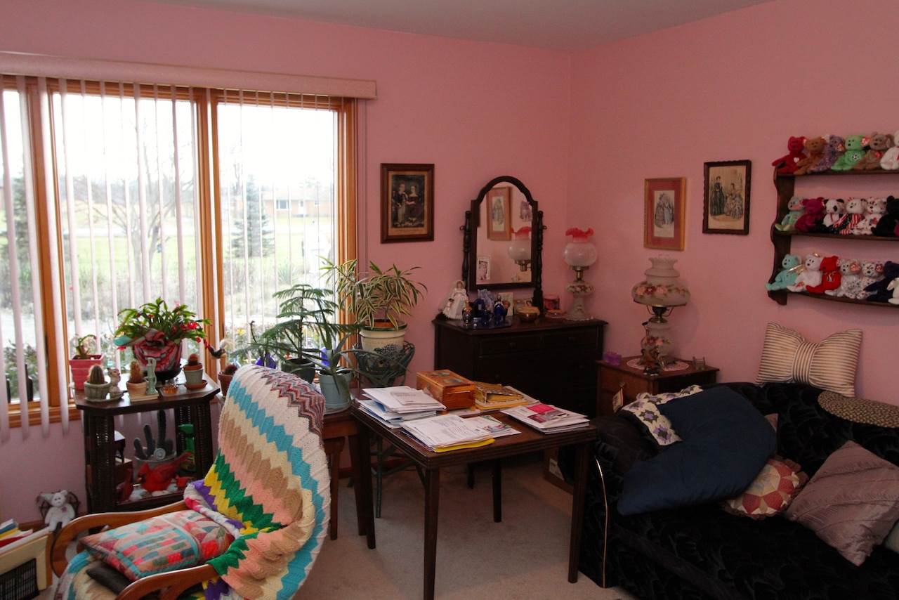 10376 Meisner Road Casco, MI 48064 - Photo 21 of 33 31367763-20.JPG